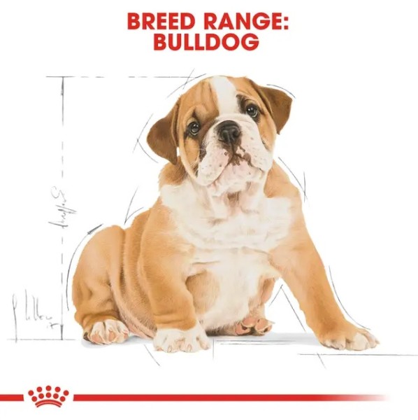 Royal Canin Bulldog Puppy - Суха храна за малки кученца порода булдог